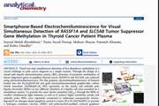 Smartphone-Based Electrochemiluminescence for Visual Simultaneous Detection of RASSF1A and SLC5A8 Tumor Suppressor Gene Methylation in Thyroid Cancer Patient Plasma